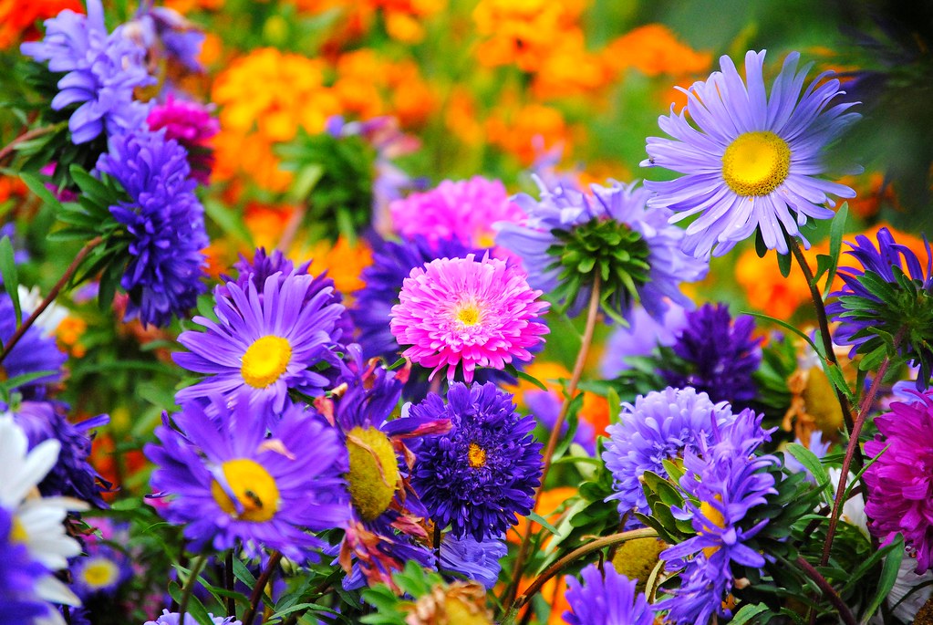 Don José Ángel Palacios De Pablo